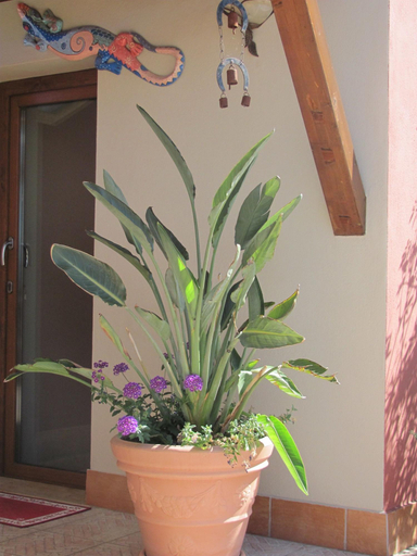 Exterior & Views 2, B&B Domu Mea, Cagliari