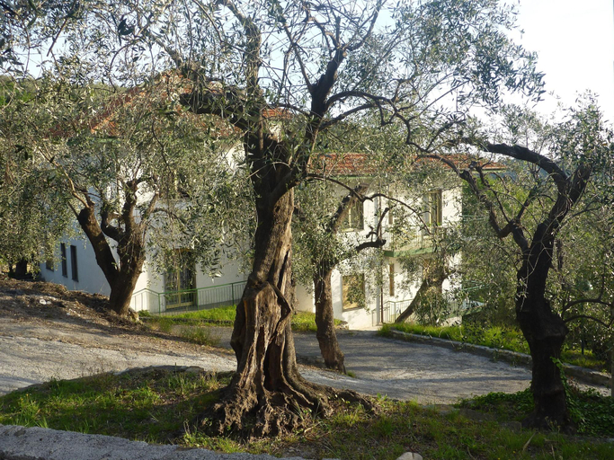 Exterior & Views, Borgo Verde-Uliveto, Imperia