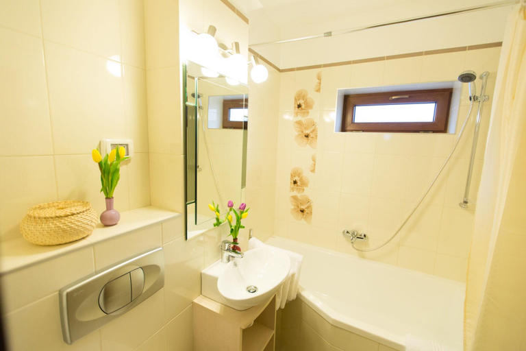 Bathroom 4, Pensiunea Nimbus, Arad