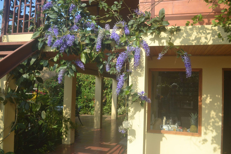 Public Area 3, Eden Atenas, Atenas