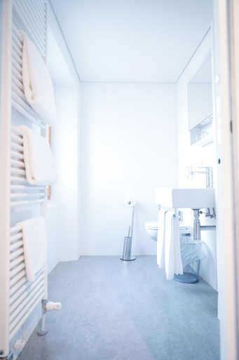 Bathroom 4, Bed&Bike Tremola San Gottardo, Leventina