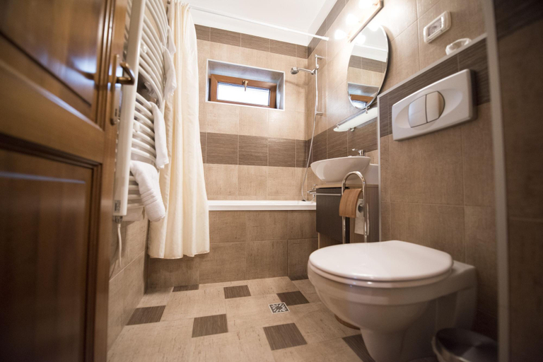 Bathroom 4, Pensiunea Nimbus, Arad