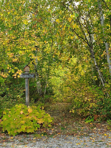Others 5, Alpine Meadows Lodge, Columbia-Shuswap