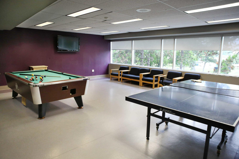 Public Area 2, Mohawk Residence, Hamilton