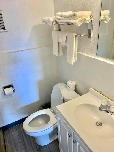 Bathroom 5, Mustang Motel, Reagan
