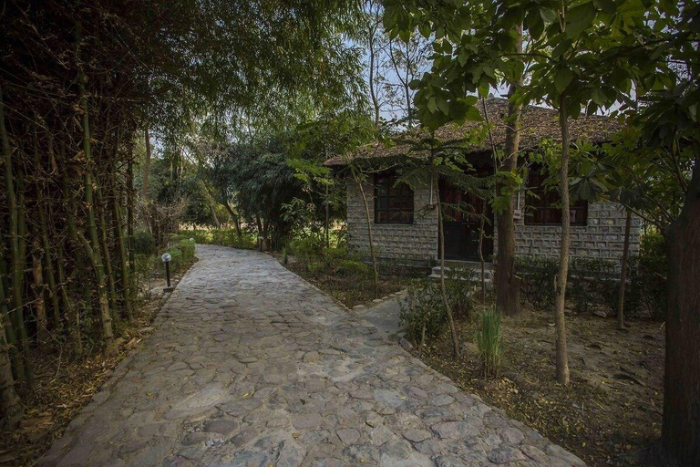Bedroom 3, Ashoka Tiger Trail, Nainital
