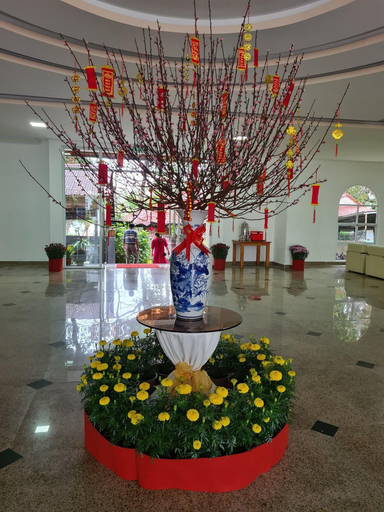 Public Area 3, Tan Son Nhat Con Dao Resort, Côn Đảo