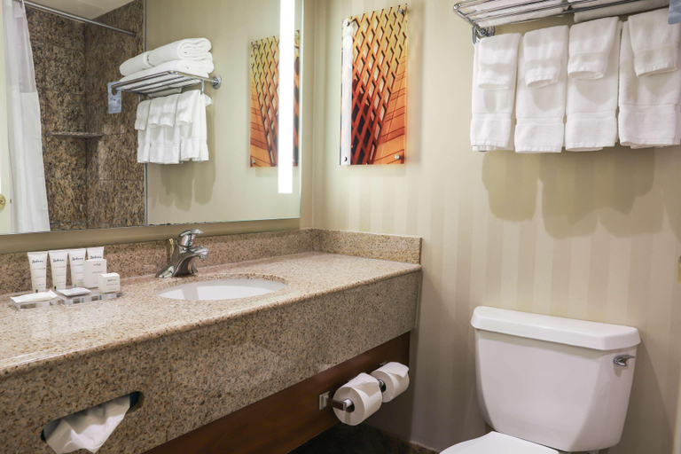 Bathroom 4, Radisson Plaza Hotel & Suites at Kalamazoo Center, Kalamazoo