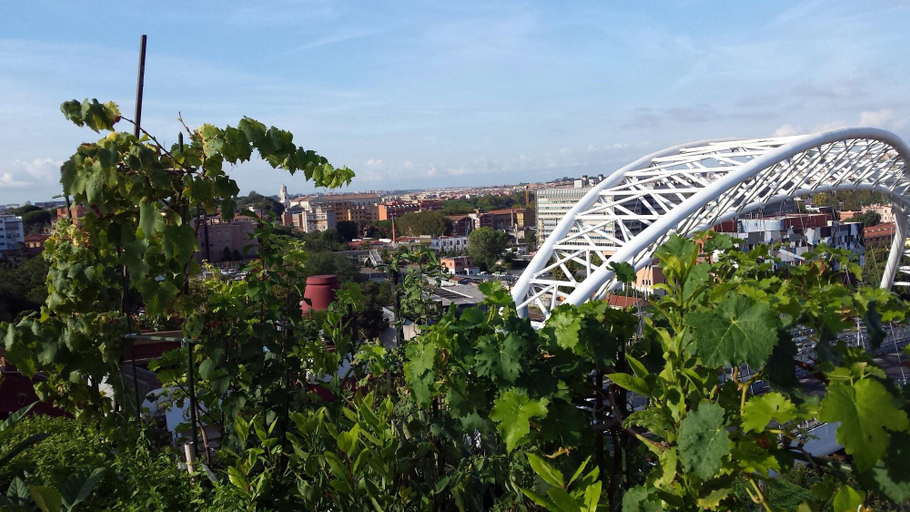 Exterior & Views 2, Trastevere 2, Roma
