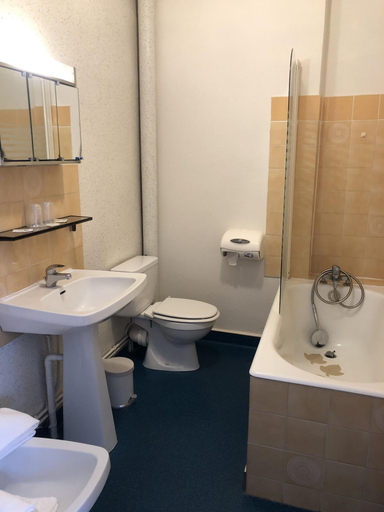 Bathroom, Hotel De Paris, Puy-de-Dôme