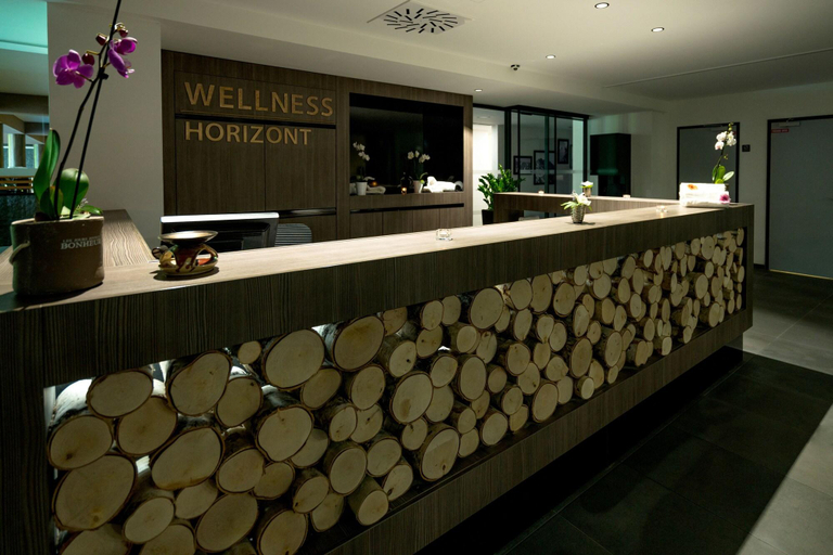 Public Area 4, Hotel Horizont Resort, Kežmarok