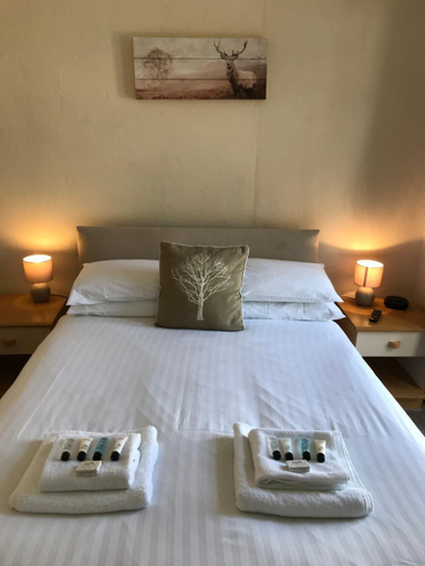 Bedroom 4, The Crown Hotel, Devon