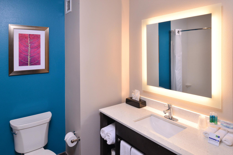 Bathroom 4, Tru By Hilton North Little Rock, Pulaski