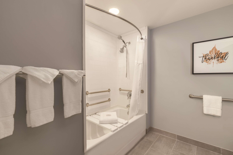 Bathroom 4, Radisson Hotel Atlanta Airport, Fulton