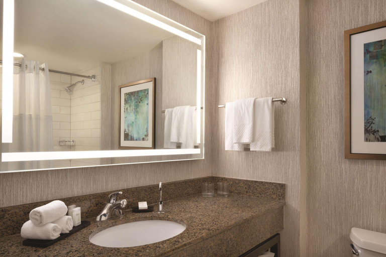 Bathroom 4, Embassy Suites by Hilton Atlanta at Centennial Olympic Park, Atlanta