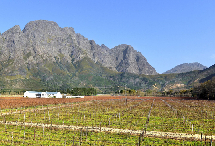 Exterior & Views 2, Holden Manz Country House, Cape Winelands