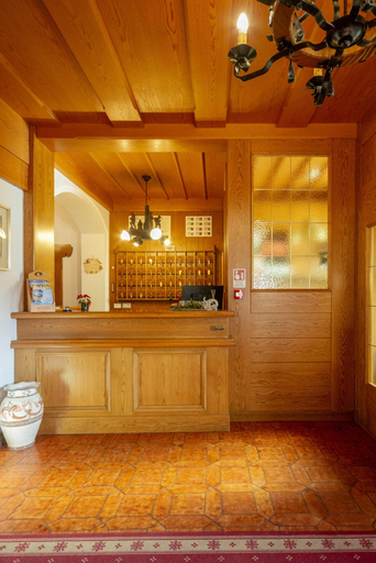Public Area 2, Hotel Stella Alpina, Trento