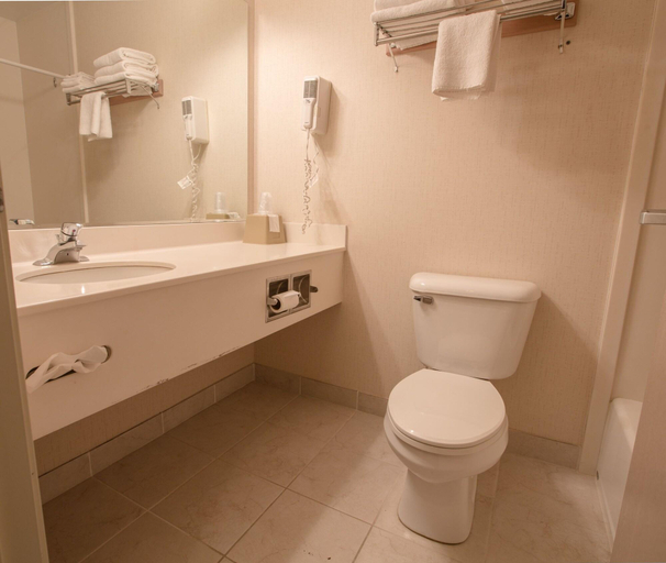 Bathroom, Bridgeway Inn & Suites Sublimity, Marion