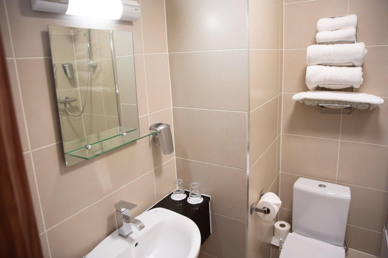 Bathroom 5, West County Hotel, Dublin