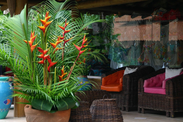 Public Area 3, Itamambuca Eco Resort, Ubatuba