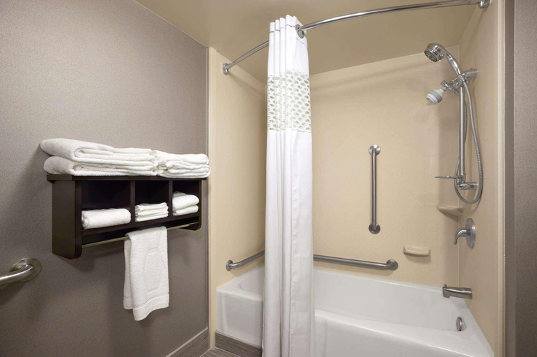 Bathroom 5, Comfort Inn Cadillac, Wexford