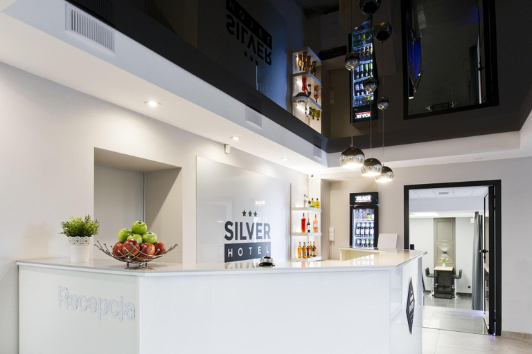 Public Area 2, Hotel Silver, Bydgoszcz City