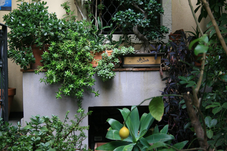 Exterior & Views 2, Casa Barbero Charme & Rooms, Catania