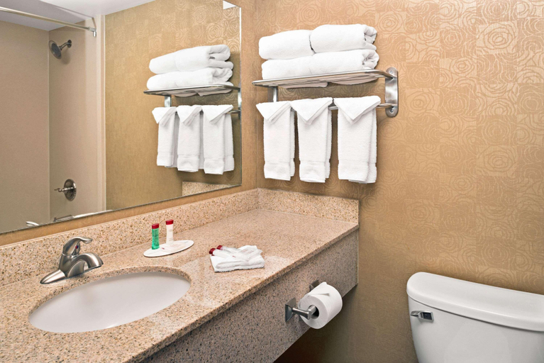 Bathroom 5, CoCo Key Omaha Hotel and Water Resort, Douglas