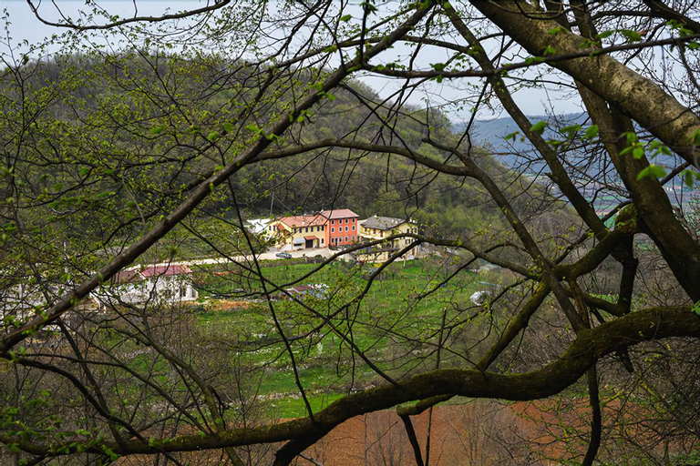 Bed and Breakfast La Quiete, Vicenza