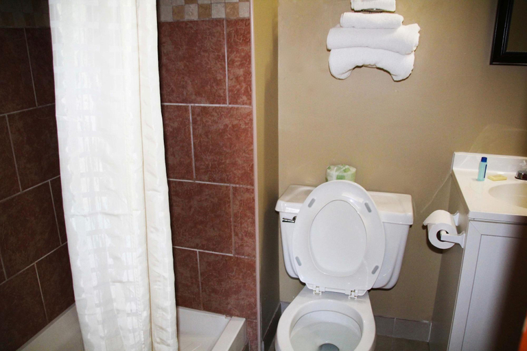 Bathroom 5, Campbell's Motel, Scott