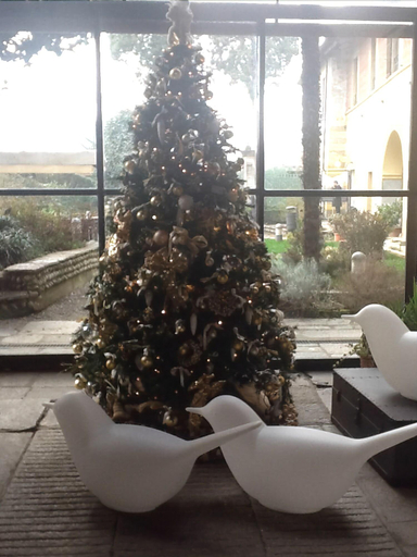 Public Area 4, Resort Al Castello, Novara