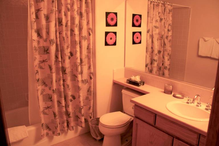 Bathroom 5, White Wolf 890 By Peak Property Management, Summit