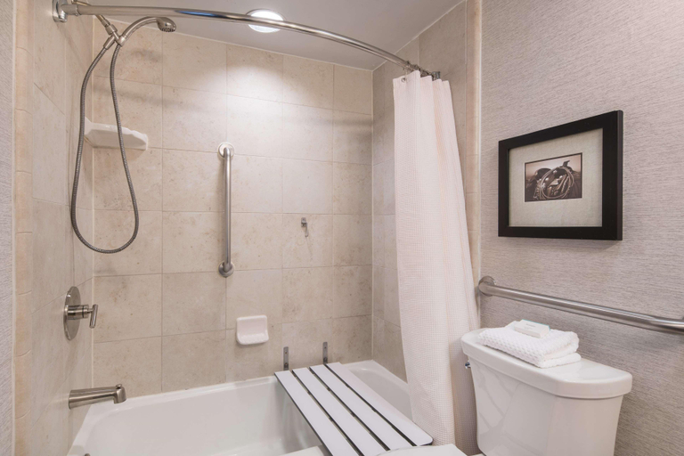 Bathroom 4, Embassy Suites by Hilton Austin Central, Travis