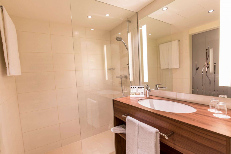 Bathroom 4, Hilton Garden Inn Vienna South, Wien