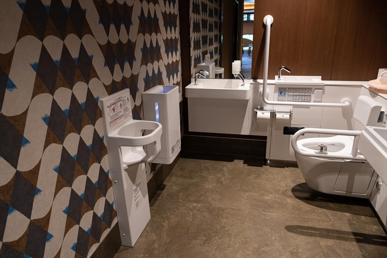 Bathroom 4, Ooike Hotel, Fujikawaguchiko