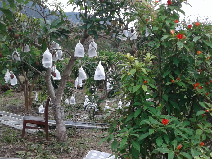 Exterior & Views 2, Taitung Linyuan B&B, Taitung