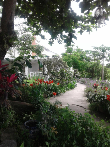 Exterior & Views 2, Taitung Linyuan B&B, Taitung