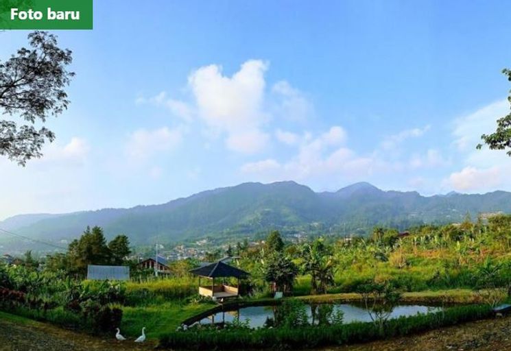 Fresh mountain view Hortensia villa Puncak, Bogor