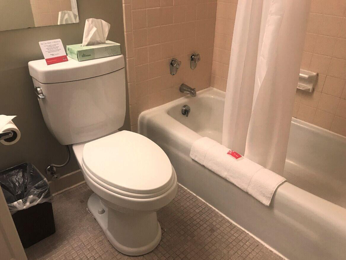 Bathroom 4, Econo Lodge Hurley-Ironwood, Iron