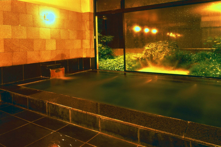 Public Area 2, Hakuba Hotel Ougiya, Hakuba