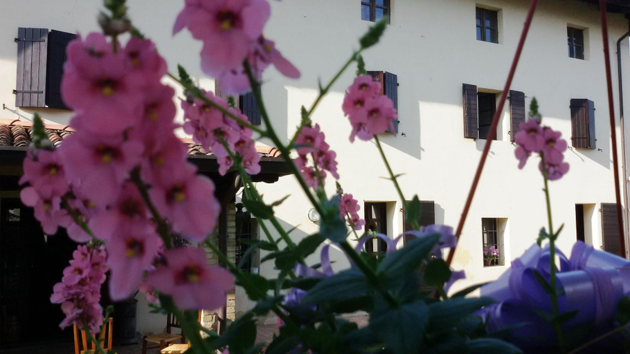 Fiori Di Maggio, Udine