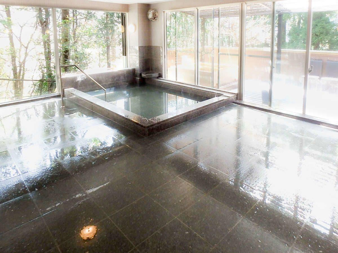Public Area 3, Livemax Resort Hakone Ashinoko, Hakone