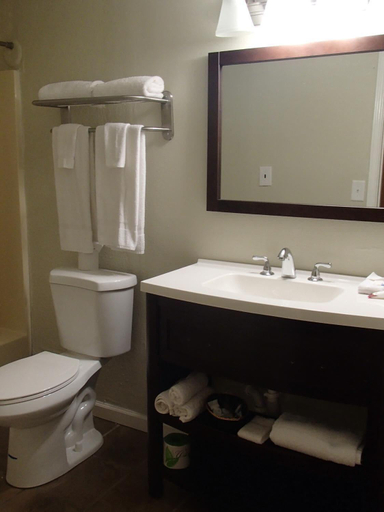 Bathroom 5, Catalina Motel, Nueces