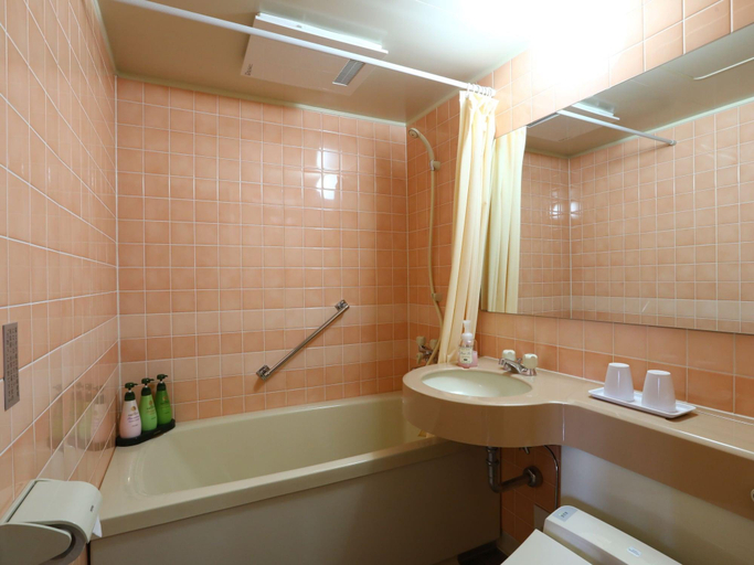 Bathroom 5, Reposer Hakuba, Hakuba