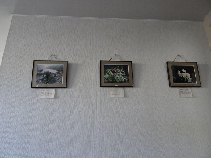 Public Area 3, Hakuba Glad Inn Ebisuya, Hakuba