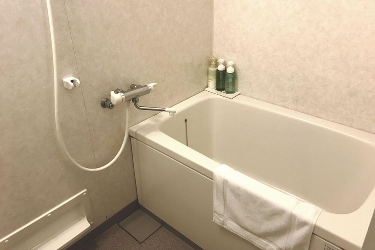 Bathroom 4, Ohayohsun, Takayama