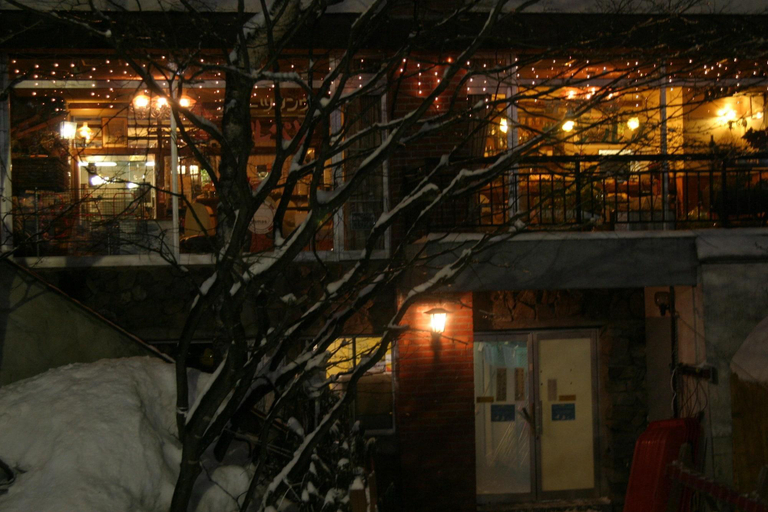 Public Area 3, Villa Alpen, Yamanouchi