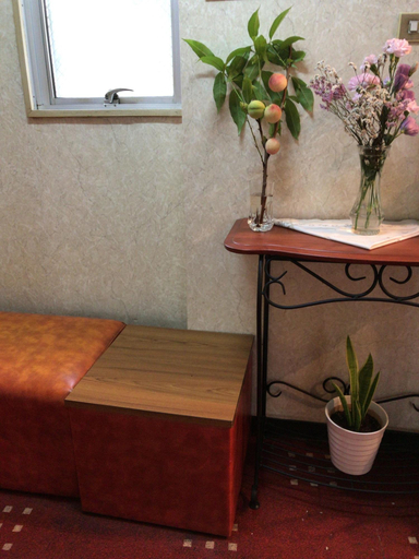 Public Area 2, Kishiwada City Hotel Princess, Kishiwada