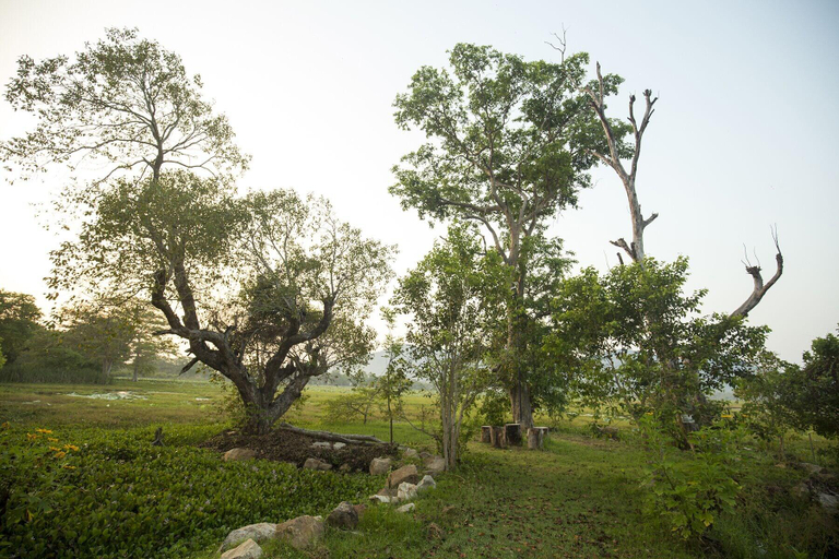 Bedroom 3, Grand Tamarind Lake , Katharagama