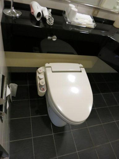 Bathroom 5, Hamilton Hotel Black, Nagoya